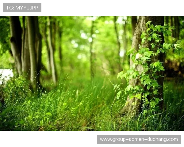 ob真人厅官方下载入口官方推荐，可靠安全绿色无广告安心畅玩